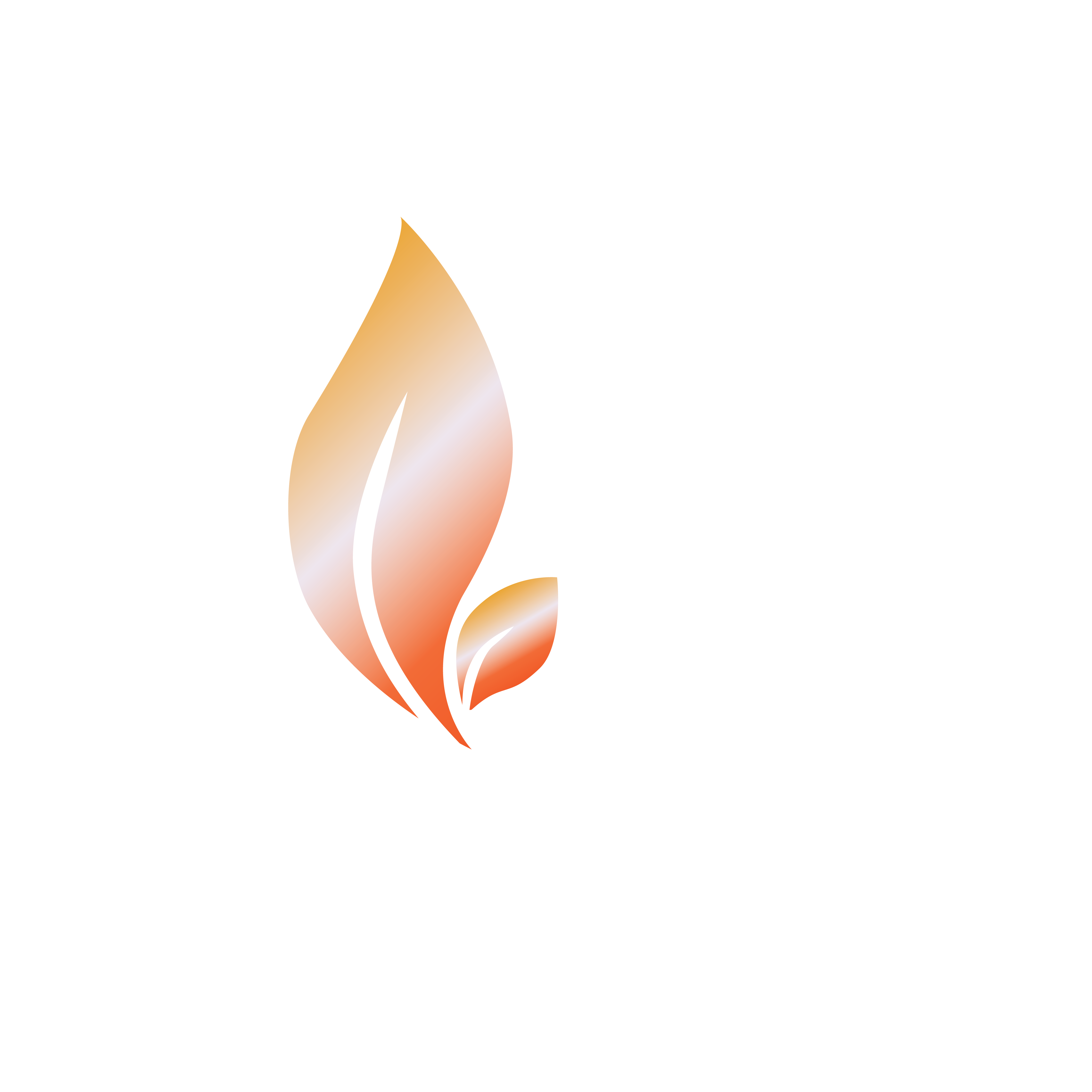 Bud Bloom and Blossom logo